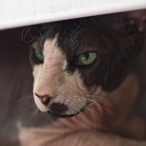 Photo #6119849