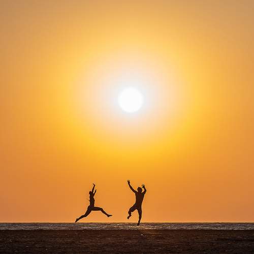 Photo #6120039