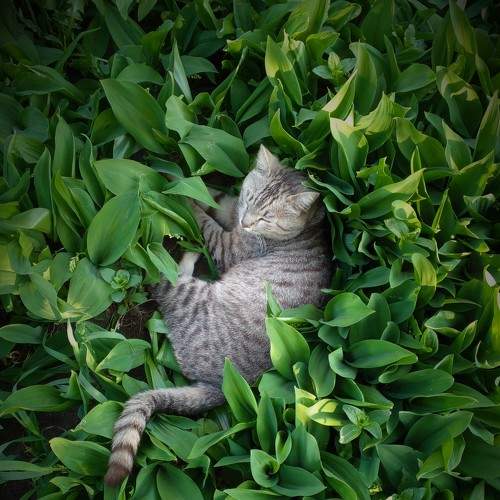 Photo #6120271