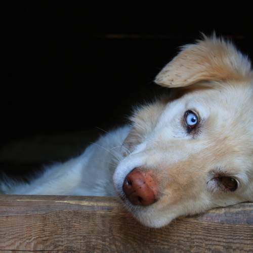 Photo #6120344