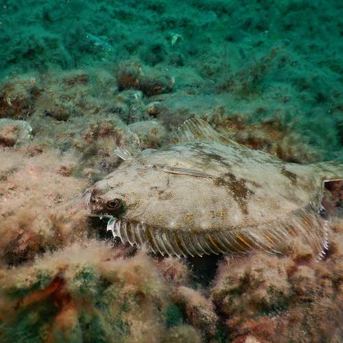 Photo #6120358