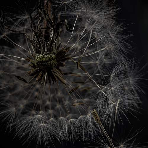 Photo #6120455