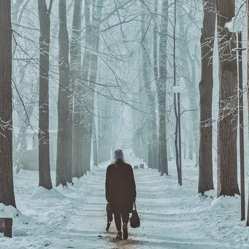 Photo #6120698