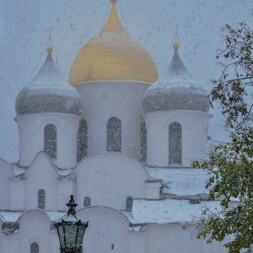 Photo #6121096