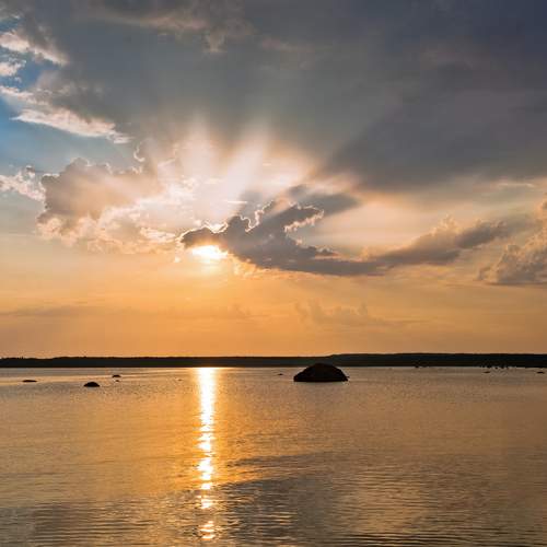 Photo #6121114