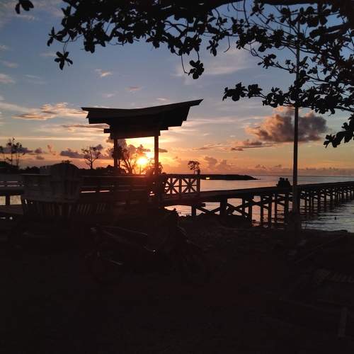Photo #6121132