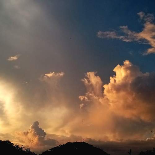 Photo #6121138