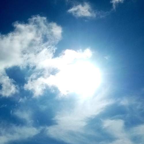Photo #6121153