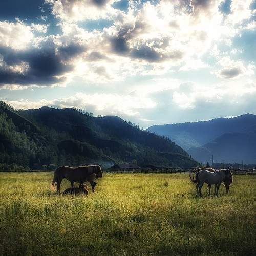 Photo #6121226