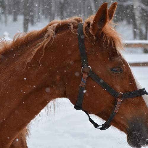 Photo #6121273