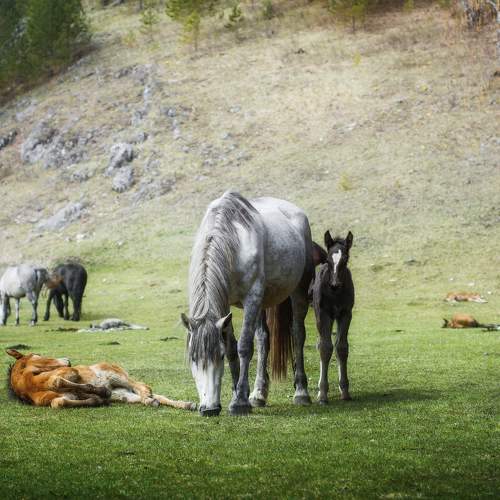 Фотография #6121380