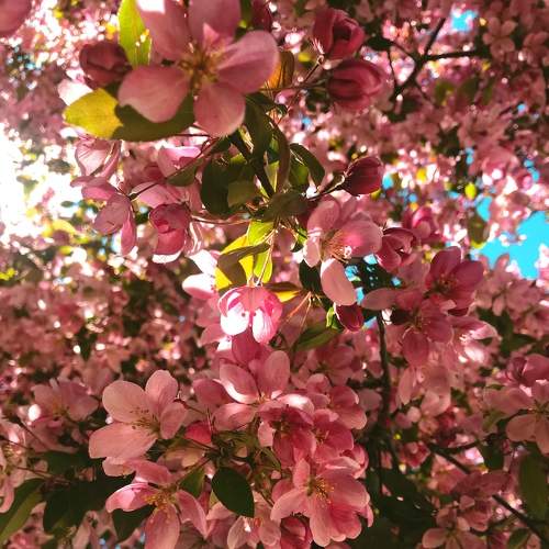 Photo #6121472