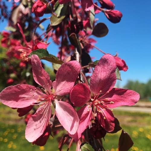 Photo #6121476