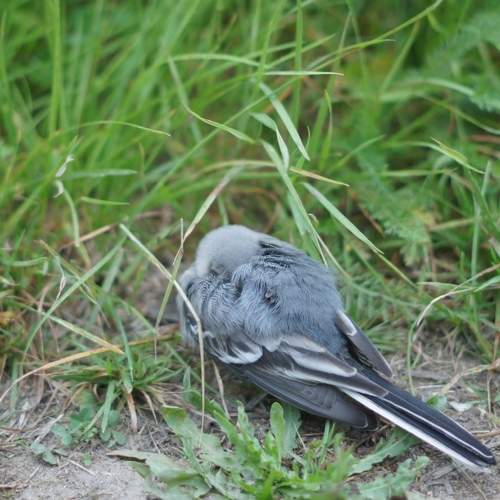 Photo #6121561