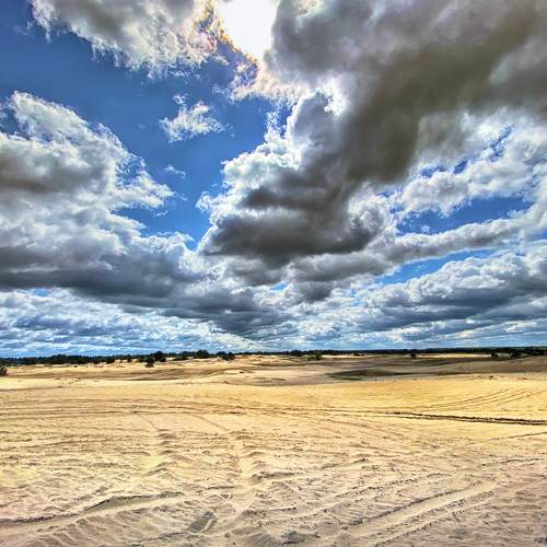 Photo #6121758
