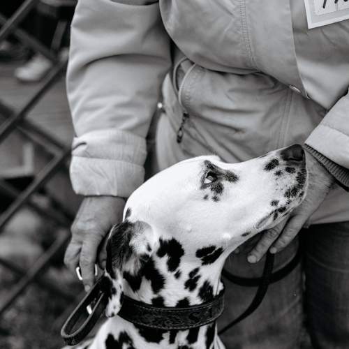 Photo #6121952