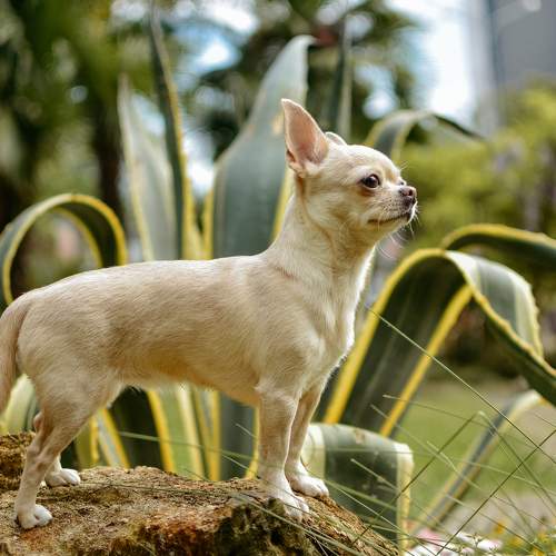 Photo #6121953