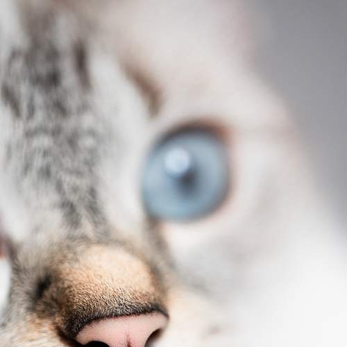 Photo #6121991