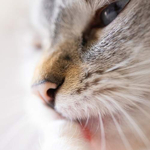 Photo #6121992
