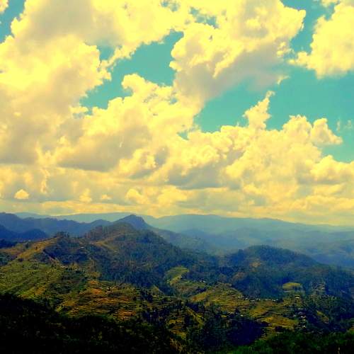 Photo #6122010