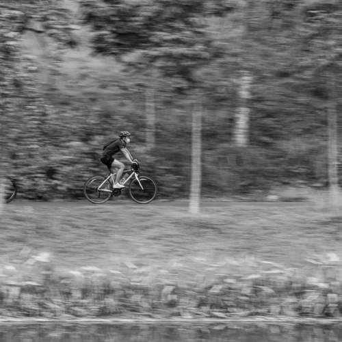 Photo #6122030