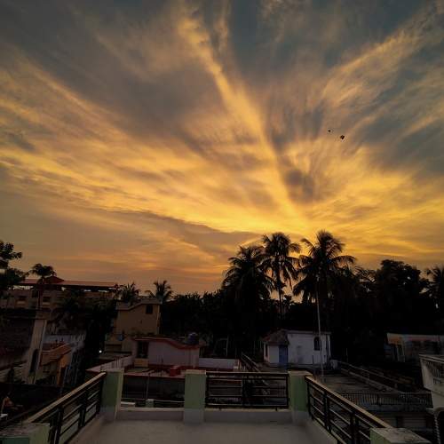 Photo #6122067
