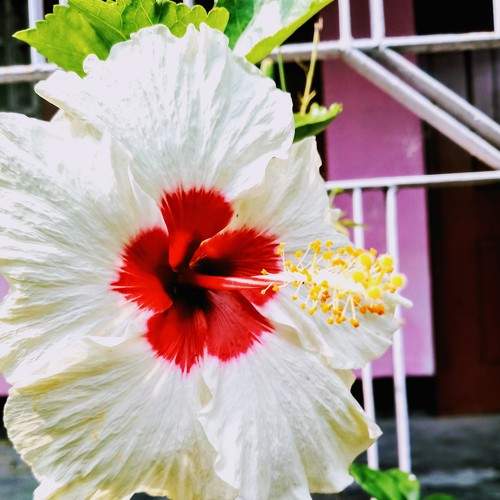 Photo #6122122