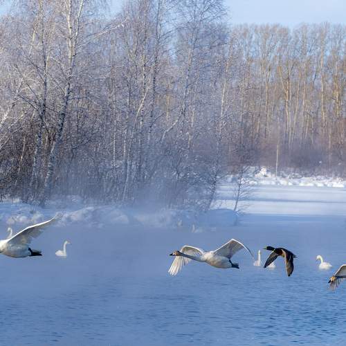 Фотография #6122137