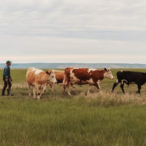 Photo #6122170