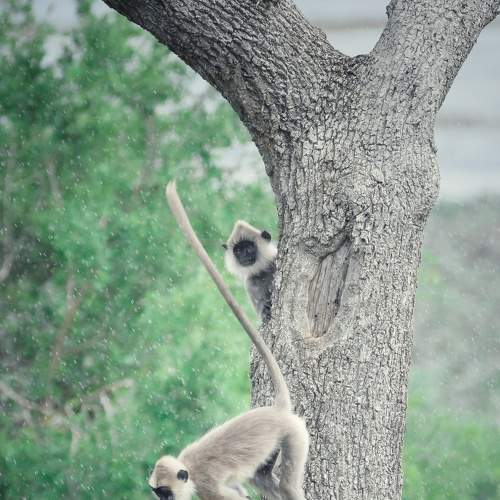 Photo #6122196