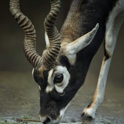 Photo #6122267