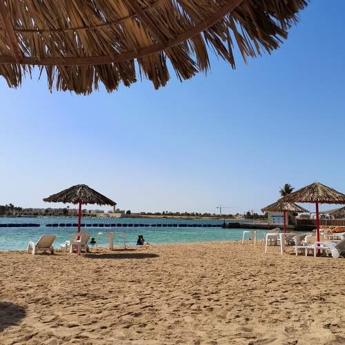 Photo #6122303