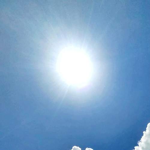 Photo #6122354