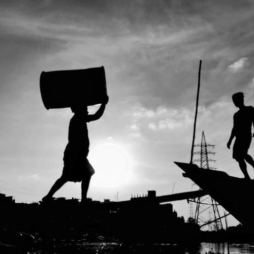 Livelihood