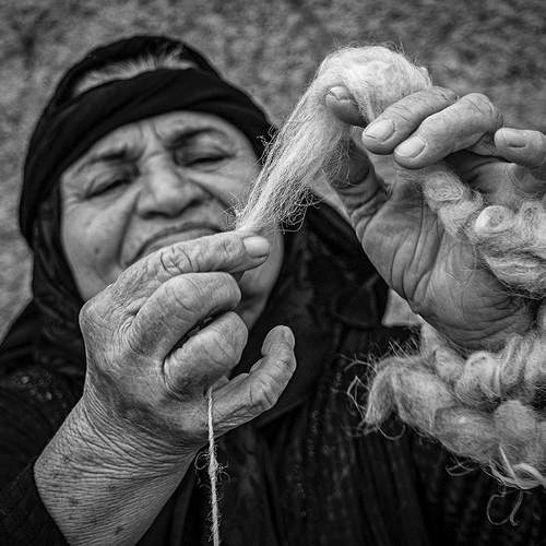 Photo #6122471