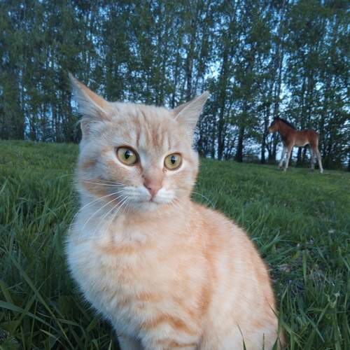 Photo #6122761