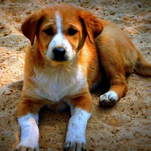 Photo #6122784