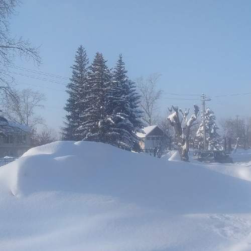 Photo #6122849