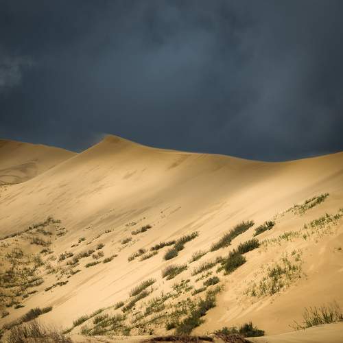 Photo #6122851