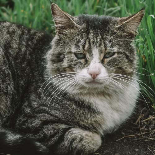 Photo #6122935