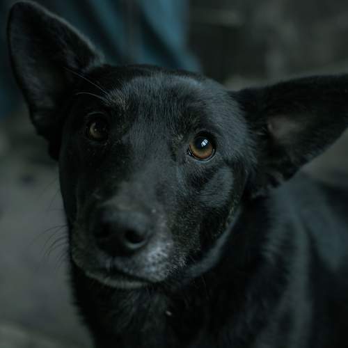 Photo #6122962