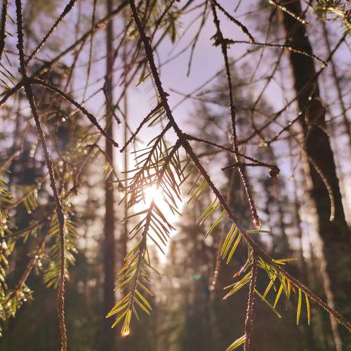 Photo #6122977