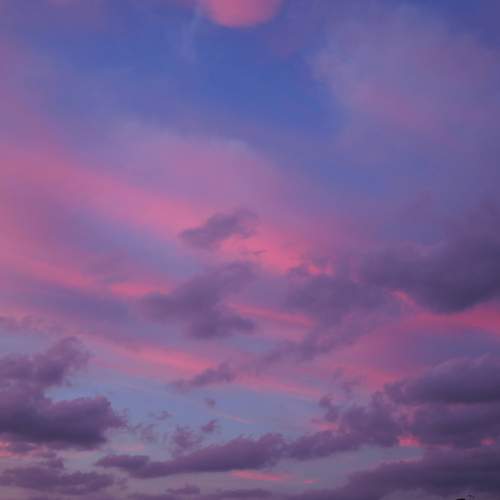 Photo #6123000