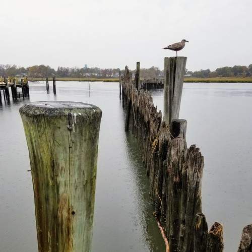 Photo #6123093