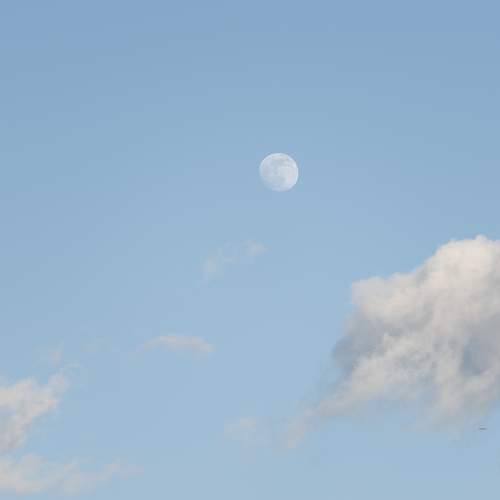 Photo #6123135