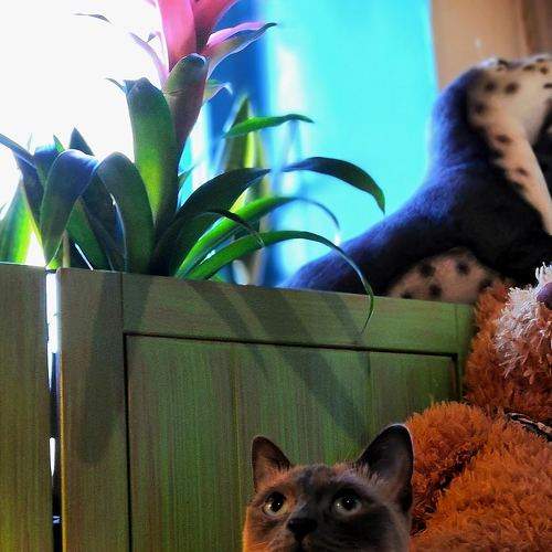 Photo #6123296