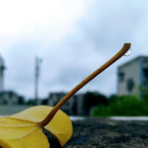 Photo #6123421