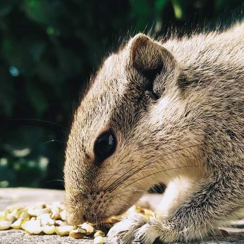 Calmy having lunch