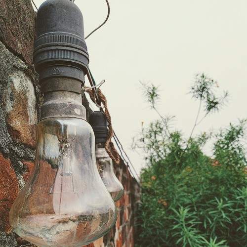 Photo #6123459