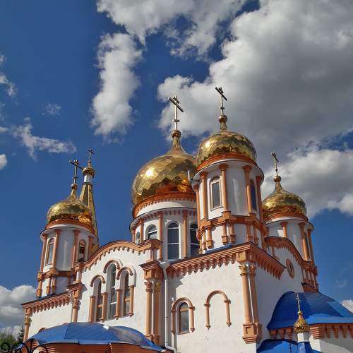 Photo #6123476